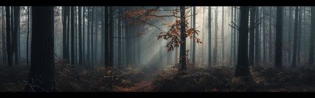 A breathtaking forest scene with autumn leaves glowing in the misty morning light.の素材