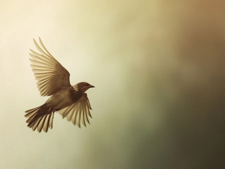 Stark sparrow silhouette against a soft, gradient sky.の素材