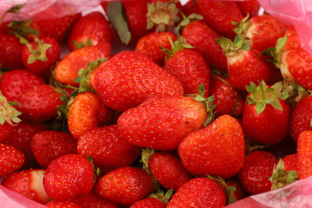 Juicy strawberries fill a pink bag, showing their vibrant red color and fresh appearance, perfect for summer recipes.の写真素材