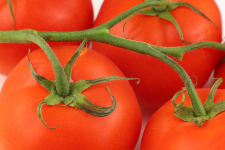 Plump red tomatoes attached to vine display freshness, ideal for use in various dishes or salads in a home kitchen environment.の写真素材