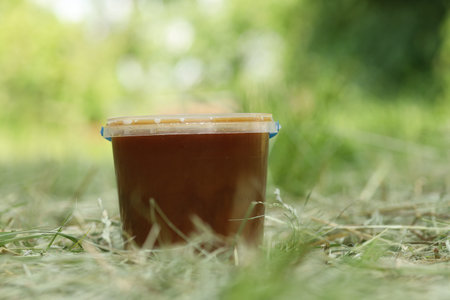 Buckwheat honey in a plastic bucket in the grassの写真素材