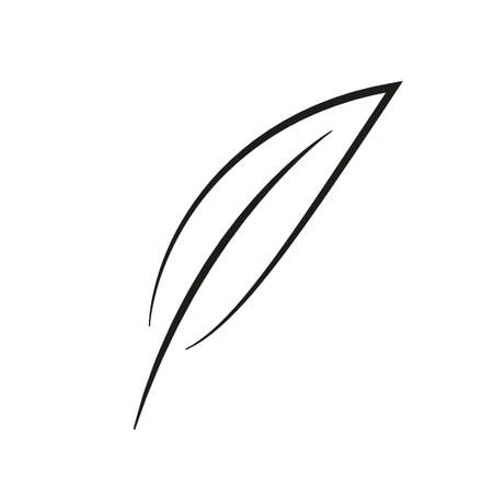 Feather icon - stock vectorのイラスト素材