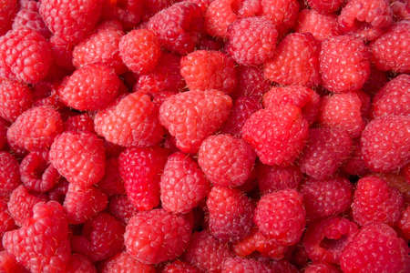 close up of delicious sweet red  raspberries