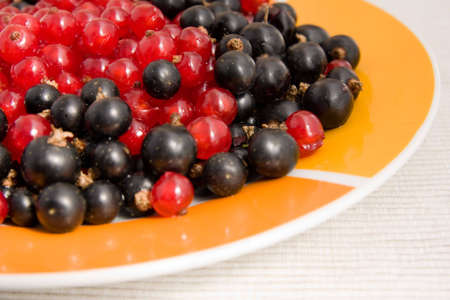 close up of red and black currants on plateの写真素材