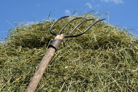 stocked hay on the meadowの写真素材