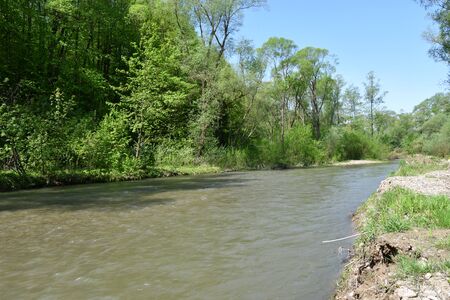 river rivulet and forest sceneryの写真素材