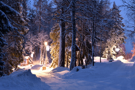 frozen and snowy landscape in winter in High Tatras Slovakiaのeditorial素材