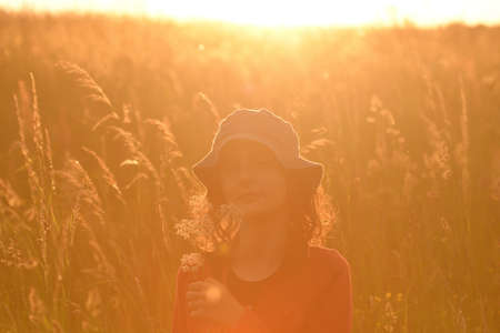 Silhouette of yung girl posing on a meadow in the tall grass at sunsetの写真素材