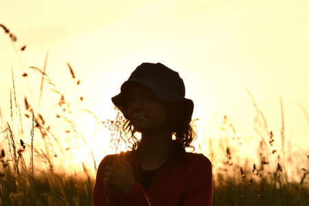 Silhouette of yung girl posing on a meadow in the tall grass at sunsetの写真素材