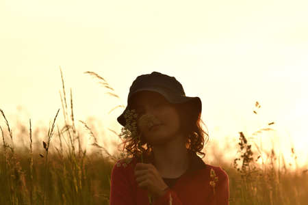 Silhouette of yung girl posing on a meadow in the tall grass at sunsetの写真素材