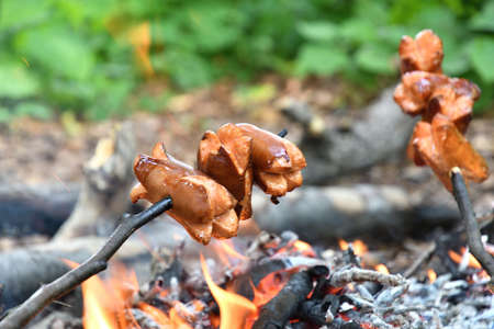 Toasting bacon in the forest on a hike on a natural fireの写真素材