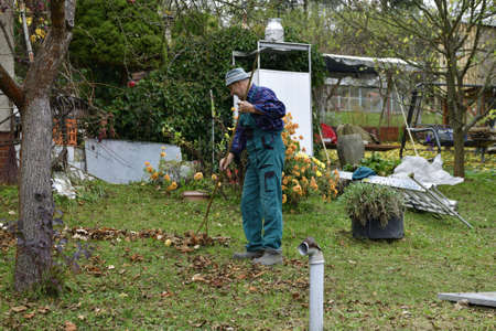 A farmer in the village rakes up fallen autumn leaves
