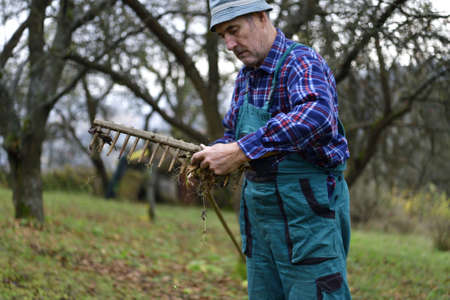 A farmer in the village rakes up fallen autumn leavesの写真素材