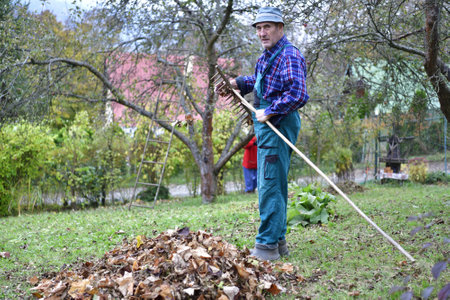 A pile of autumn fallen leaves in yellow and a farmer with rakes