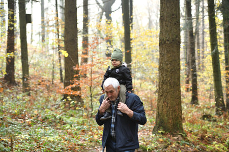 Grandfather carries a little girl on his shoulders during an autumn hike in a colorful forest
