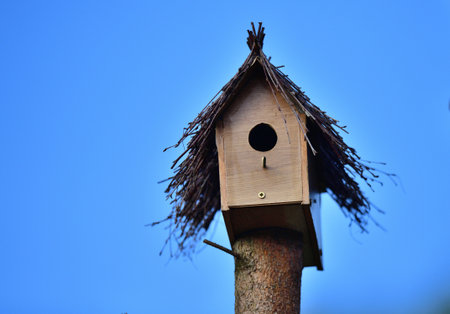 Wooden nesting box for birds on a tree in the gardenの写真素材