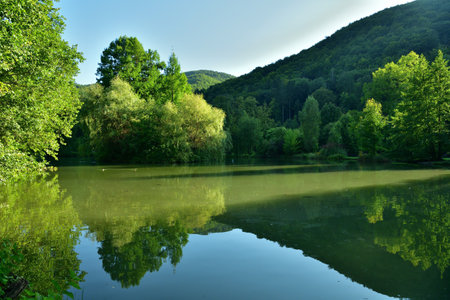 Mirroring of the landscape on the surface of the water pondの写真素材