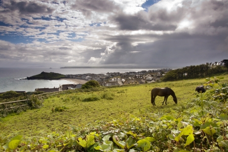 Seaside landscape with green meadow and grazing horse, dramatic sky above a grey sea and a fishing...