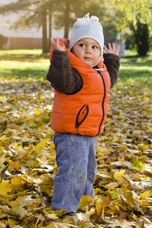 Child toddler, bou ro girl, playing in autumn or fall park with yellow leavesの写真素材