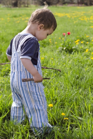 Toddler child playing with sticks on a spring  grass lawn with dandelions   の写真素材