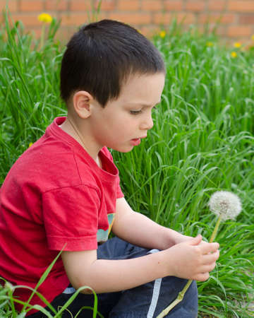 Child sitting on the grass holding a white dandelion flower. の写真素材