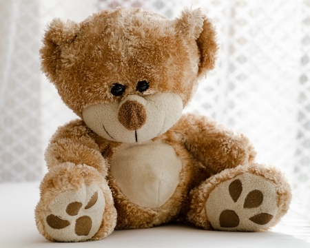 Teddy bear, soft children toy  の写真素材