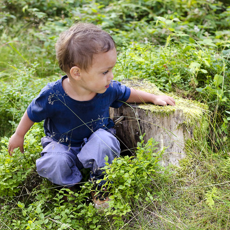 Child in forest with wild blueberriesの写真素材