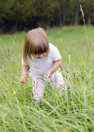 Child girl walking through a long grass at a wild meadow.の写真素材
