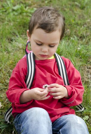 Child with small daixy floser sitting on grass.の写真素材