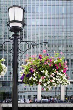 Hanging flower on a lamp post, modern glass buildings of a business district in backgound,  London,  Canary Wharf.の写真素材