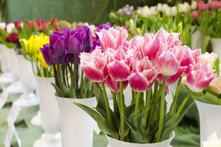 Colorful tulips in vase at market or in a florist shop.の写真素材