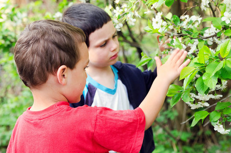 Children exploring spring blossomsの写真素材