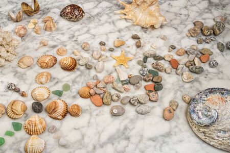 star, stones and shells lying on a marble background, composition of sea stones and seashells, marine composition, composition of seashells, starfish, jellyfish,の写真素材