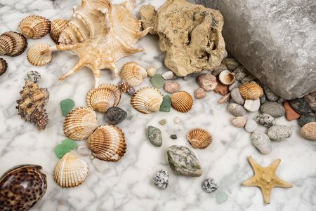 star, stones and shells lying on a marble background, composition of sea stones and seashells,...