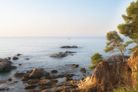 sea view with rocky shore in Spain, rocky coast in Spain, Mediterranean coast in Spain, coast and rocks with pine trees on hills, photos of the sea and the coast, large stones in seawaterの写真素材