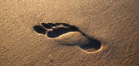 foot print on the sand beach in Polandの写真素材