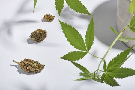 Marijuana buds and leaves isolated on white background. Studio shot.の写真素材