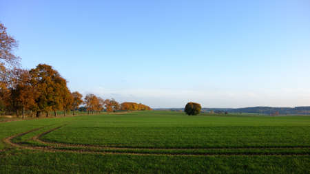 Autumn country landscape in the golden hour light
