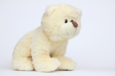 The plush bearの写真素材