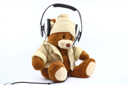 The plush bearの写真素材