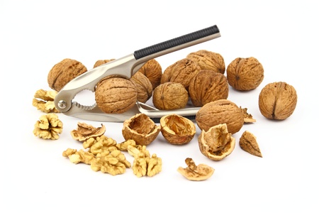 The walnut