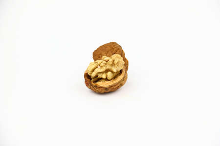 The walnut