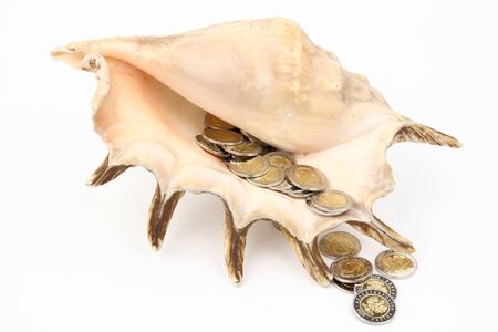 The coins in the shell