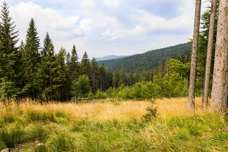 Landscape of mountains in Summer