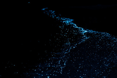 Bio luminescence. Illumination of plankton at Maldives. Many particles at black background.