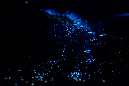 Bio luminescence. Illumination of plankton at Maldives. Many particles at black background.の写真素材