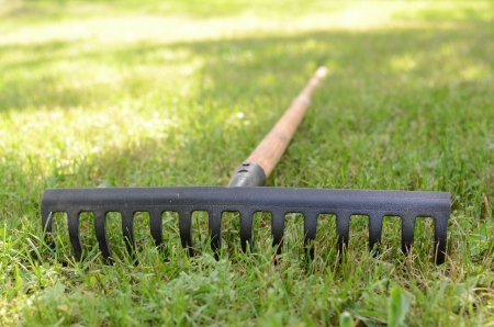 Rake lying on grass in the gardenの写真素材