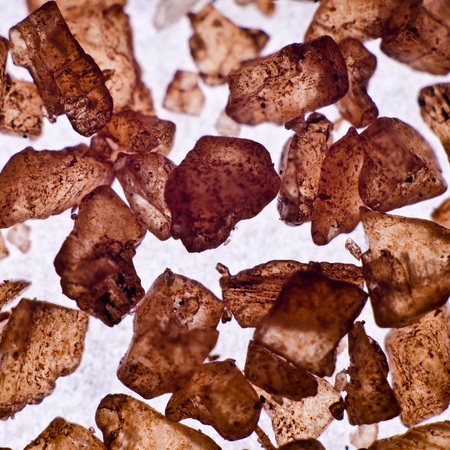 Close up of Red Hawaiian Saltの写真素材