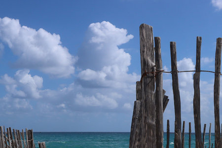 Wooden poles on the beach .の写真素材