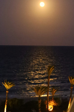 Moonlight over the sea at night.の写真素材